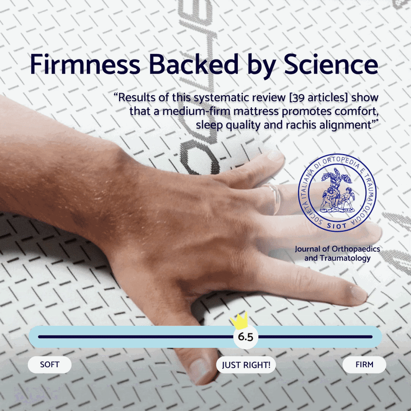 DreamAlign Back Relief Mattress Topper